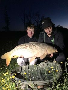 Common Carp