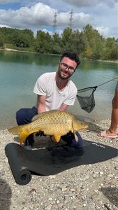 Common Carp