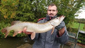 Northern Pike