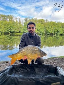Common Carp