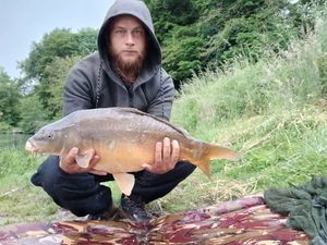 Mirror Carp