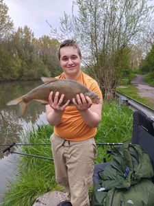 Common Bream