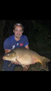 Mirror Carp
