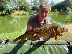 Common Carp