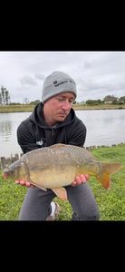 Mirror Carp