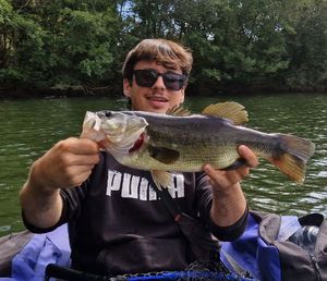 Largemouth Bass