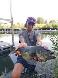Largemouth Bass