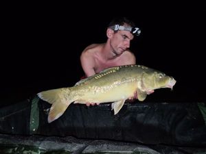 Mirror Carp