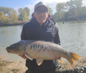 Mirror Carp