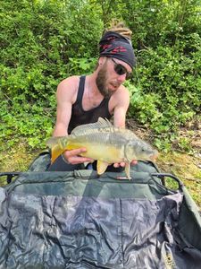 Mirror Carp
