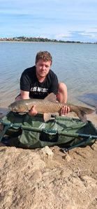 Grass Carp