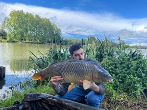 Common Carp