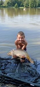 Mirror Carp