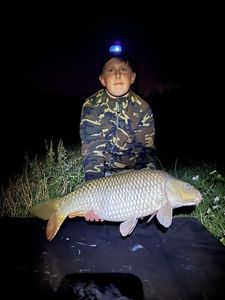 Common Carp