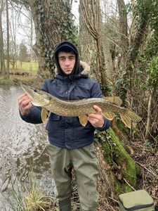Northern Pike