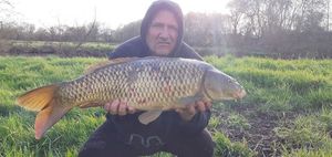 Common Carp