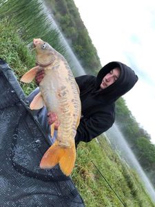 Mirror Carp