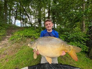 Mirror Carp