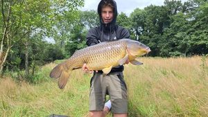 Common Carp