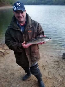 Zander