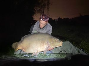 Mirror Carp