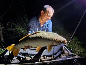 Common Carp
