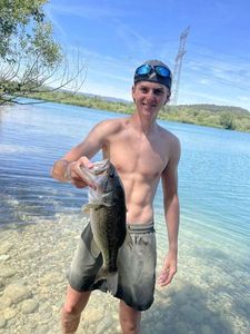 Largemouth Bass