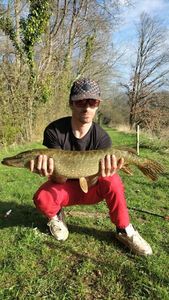 Northern Pike