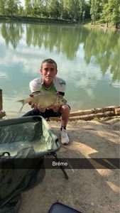 Blue Bream