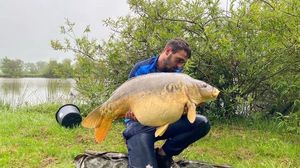 Mirror Carp