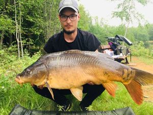 Common Carp
