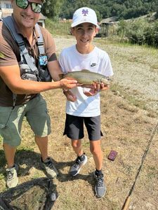 Cutthroat Trout