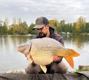 Common Carp