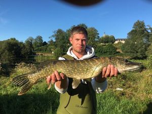 Northern Pike