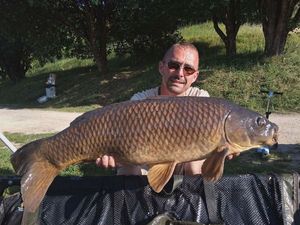 Common Carp