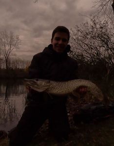 Northern Pike