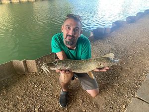 Northern Pike