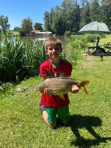 Common Carp