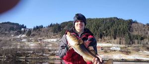 Atlantic Cod (Baltic)