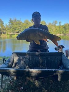 Mirror Carp