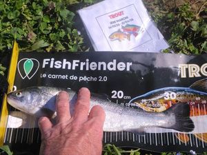 Rainbow Trout