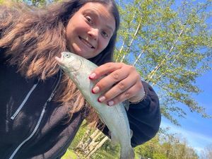 Rainbow Trout