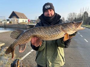 Northern Pike