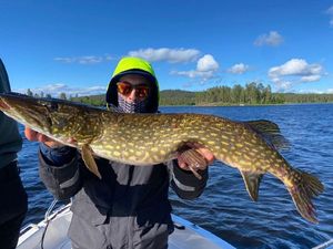 Northern Pike