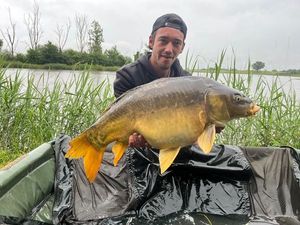 Mirror Carp