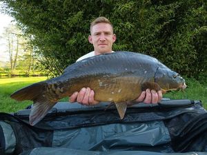 Mirror Carp
