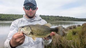 Largemouth Bass