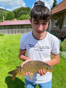 Mirror Carp