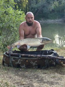 Grass Carp