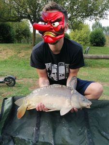Common Carp